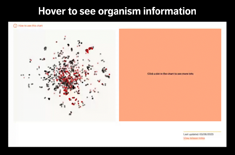 Animated example of use